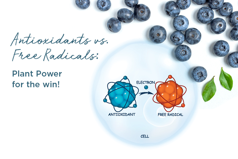 Protecting against free radicals with fruits